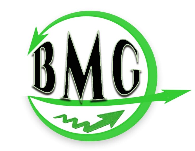 BMG2 Consulting LLC